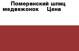 Померанский шпиц медвежонок  › Цена ­ 5000-10000 - Самарская обл. Животные и растения » Собаки   